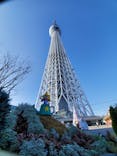 東京スカイツリーに投稿された画像（2022/11/23）
