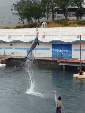 伊豆・三津シーパラダイスに投稿された画像（2022/11/23）