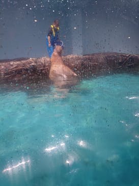 伊豆・三津シーパラダイスに投稿された画像（2022/11/23）