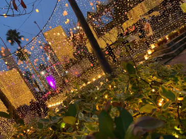 ひらかたパークに投稿された画像（2022/11/23）