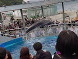 大分マリーンパレス水族館 「うみたまご」に投稿された画像（2022/11/23）
