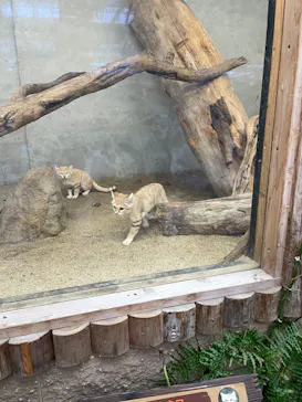 神戸どうぶつ王国に投稿された画像（2022/11/23）