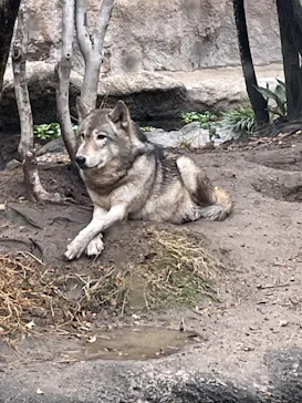 神戸どうぶつ王国に投稿された画像（2022/11/23）