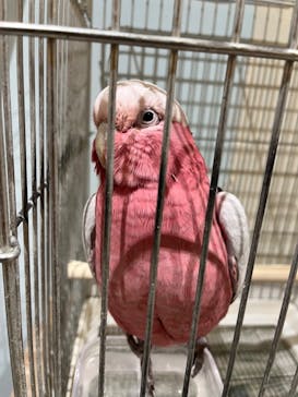 Moff animal cafe MARKIS 福岡ももち店に投稿された画像（2022/11/23）