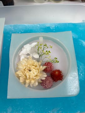 ずこうしつ〜sugamo〜に投稿された画像（2022/11/23）