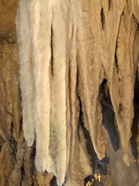 石垣島鍾乳洞に投稿された画像（2022/11/23）