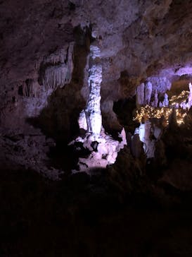 石垣島鍾乳洞に投稿された画像（2022/11/23）