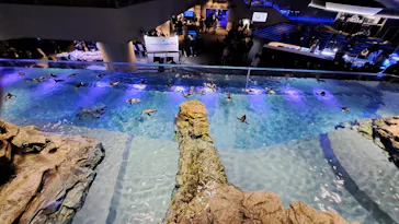 すみだ水族館に投稿された画像（2022/11/23）