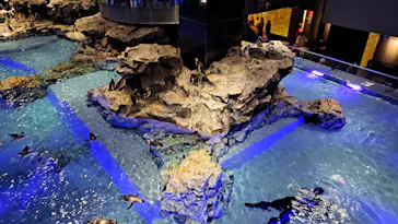 すみだ水族館に投稿された画像（2022/11/23）