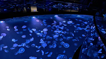 すみだ水族館に投稿された画像（2022/11/23）