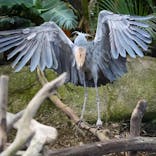 那須どうぶつ王国に投稿された画像（2022/11/23）