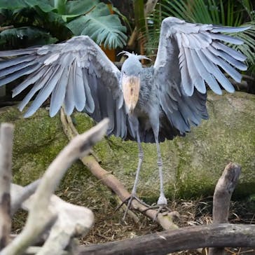 那須どうぶつ王国に投稿された画像（2022/11/23）