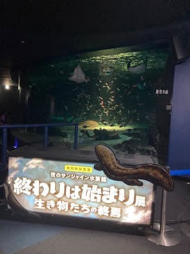サンシャイン水族館に投稿された画像（2022/11/23）