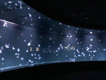 サンシャイン水族館に投稿された画像（2022/11/23）