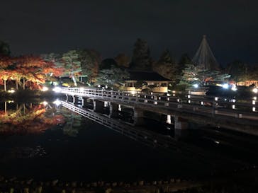 国営昭和記念公園 秋の夜散歩に投稿された画像（2022/11/23）