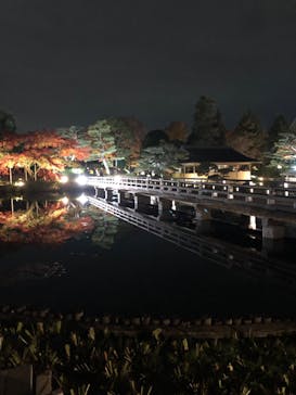 国営昭和記念公園 秋の夜散歩に投稿された画像（2022/11/23）