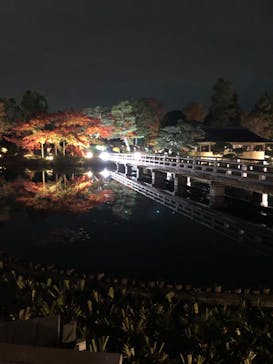 国営昭和記念公園 秋の夜散歩に投稿された画像（2022/11/23）
