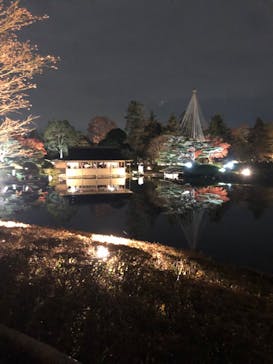 国営昭和記念公園 秋の夜散歩に投稿された画像（2022/11/23）