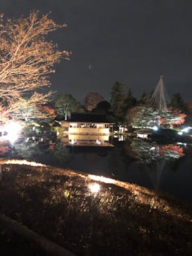 国営昭和記念公園 秋の夜散歩に投稿された画像（2022/11/23）