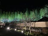 国営昭和記念公園 秋の夜散歩に投稿された画像（2022/11/23）