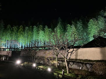 国営昭和記念公園 秋の夜散歩に投稿された画像（2022/11/23）