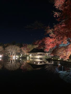 国営昭和記念公園 秋の夜散歩に投稿された画像（2022/11/23）