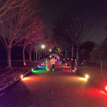 国営昭和記念公園 秋の夜散歩に投稿された画像（2022/11/23）