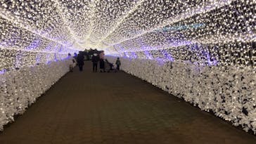 東京メガイルミに投稿された画像（2022/11/23）