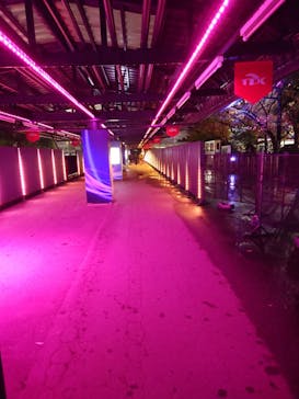 東京メガイルミに投稿された画像（2022/11/23）