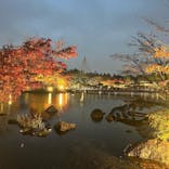 国営昭和記念公園 秋の夜散歩に投稿された画像（2022/11/23）