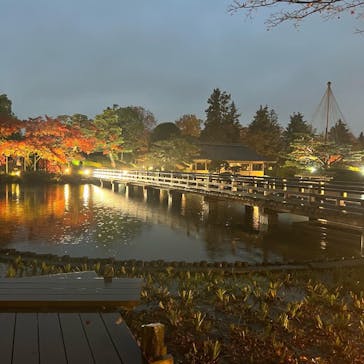 国営昭和記念公園 秋の夜散歩に投稿された画像（2022/11/23）