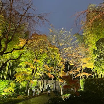 国営昭和記念公園 秋の夜散歩に投稿された画像（2022/11/23）