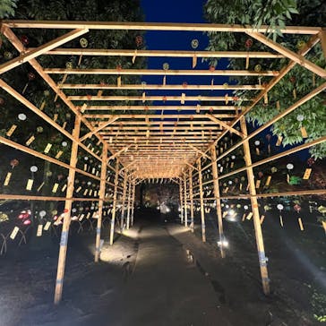 国営昭和記念公園 秋の夜散歩に投稿された画像（2022/11/23）