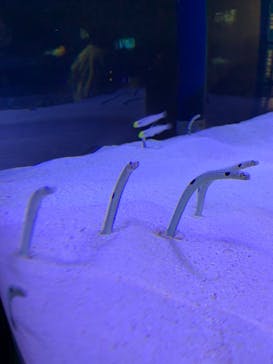 マリンワールド海の中道に投稿された画像（2022/11/23）