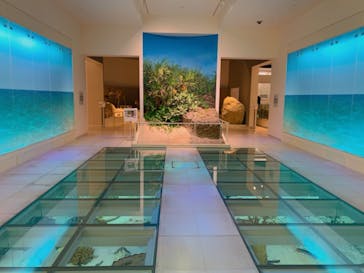 沖縄県立博物館・美術館に投稿された画像（2022/11/23）