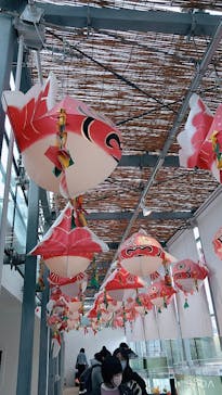 環境水族館アクアマリンふくしまに投稿された画像（2022/11/23）