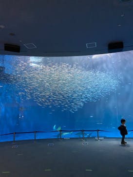 名古屋港水族館に投稿された画像（2022/11/23）