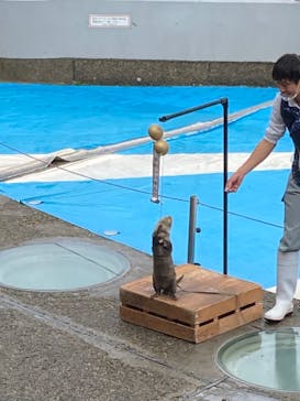 大分マリーンパレス水族館 「うみたまご」に投稿された画像（2022/11/23）