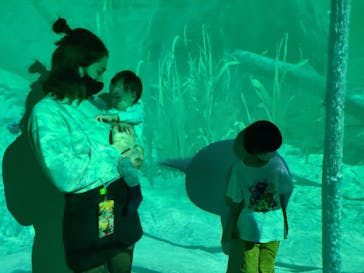 カワスイ 川崎⽔族館に投稿された画像（2022/11/23）