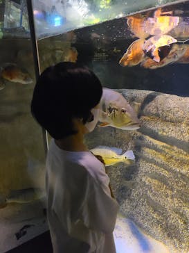 カワスイ 川崎⽔族館に投稿された画像（2022/11/23）