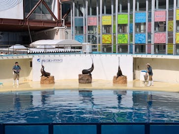 伊豆・三津シーパラダイスに投稿された画像（2022/11/23）