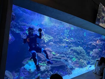 大分マリーンパレス水族館 「うみたまご」に投稿された画像（2022/11/23）