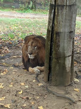 姫路セントラルパークに投稿された画像（2022/11/23）