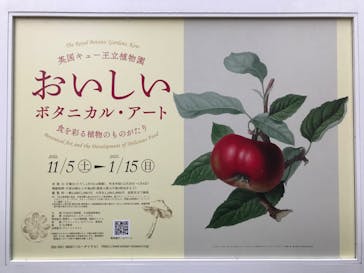 おいしいボタニカル・アート　食を彩る植物のものがたり(SOMPO美術館)に投稿された画像（2022/11/23）
