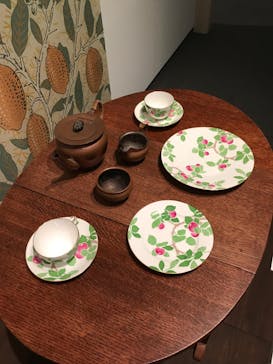 おいしいボタニカル・アート　食を彩る植物のものがたり(SOMPO美術館)に投稿された画像（2022/11/23）