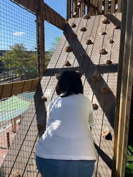 モビリティリゾートもてぎに投稿された画像（2022/11/23）