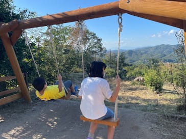 モビリティリゾートもてぎに投稿された画像（2022/11/23）