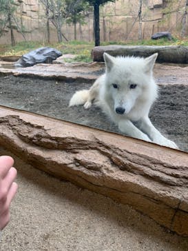 那須どうぶつ王国に投稿された画像（2022/11/23）