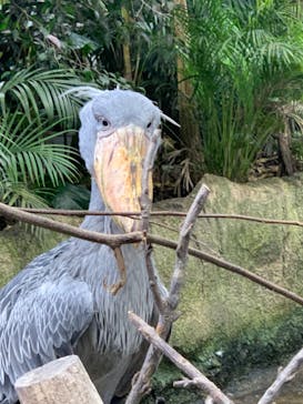 那須どうぶつ王国に投稿された画像（2022/11/23）