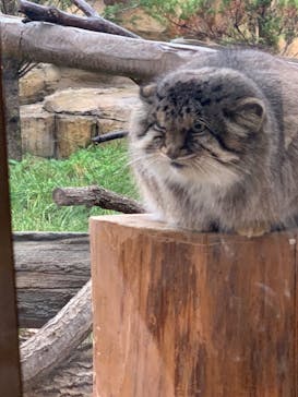 那須どうぶつ王国に投稿された画像（2022/11/23）